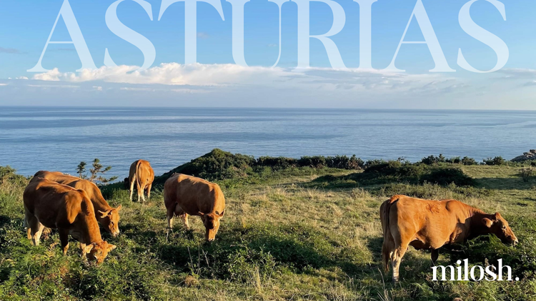 Where Cider Flows at Arm's Length - Asturias