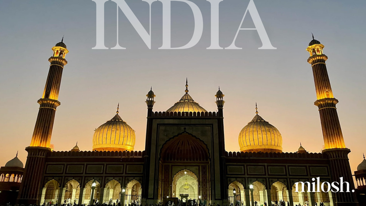 Letters from India, Part I: Old Delhi