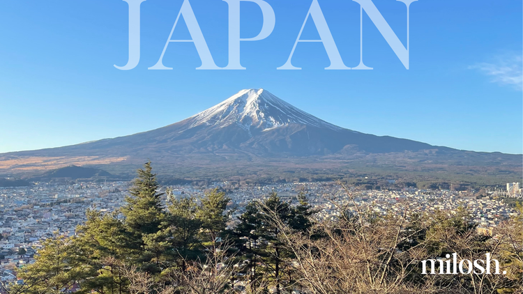 1400 km Through Japan On A  Shinkansen